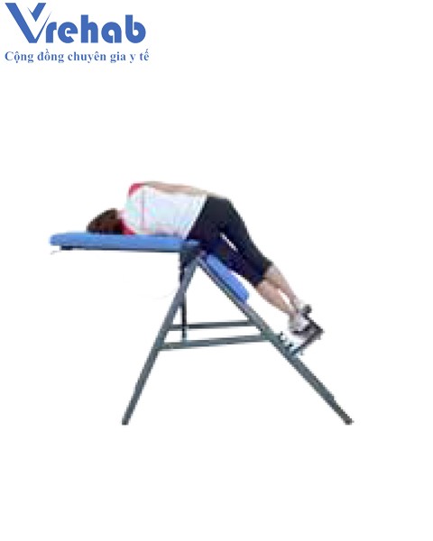 Thiết bị tập lưng hông tổng hợp Total Back 0